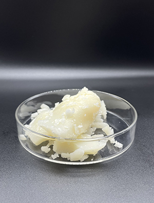 亚洲熟妇丰满大屁股熟妇