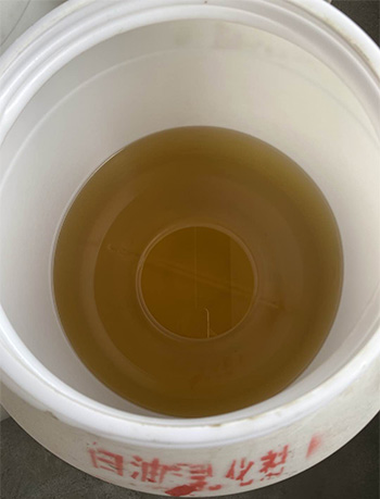 亚洲熟妇丰满大屁股熟妇