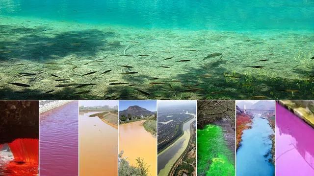 亚洲熟妇丰满大屁股熟妇