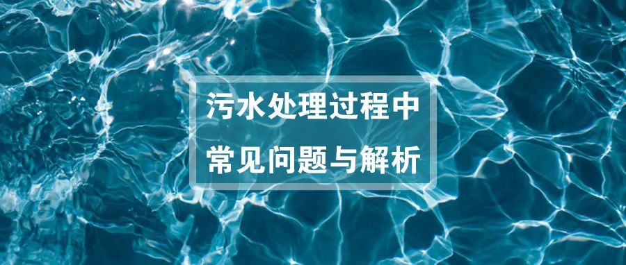 亚洲熟妇丰满大屁股熟妇