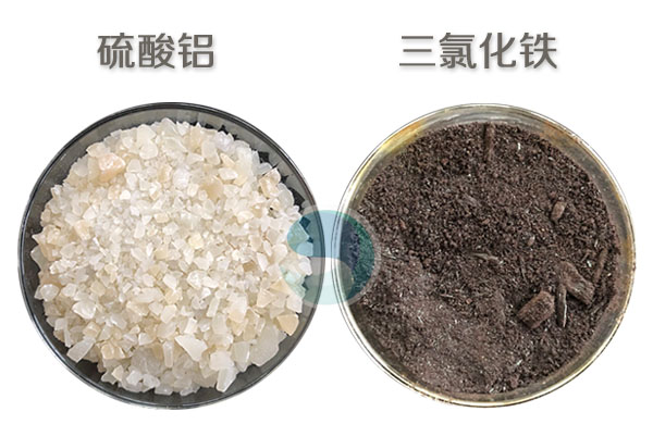 亚洲熟妇丰满大屁股熟妇