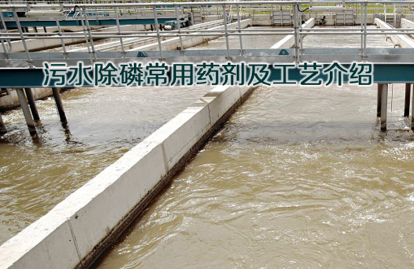 亚洲熟妇丰满大屁股熟妇