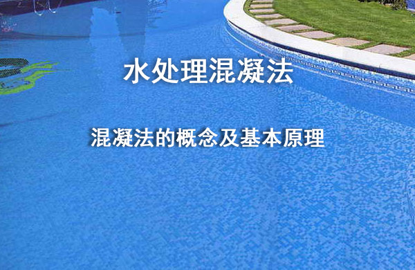 亚洲熟妇丰满大屁股熟妇