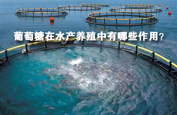 亚洲熟妇丰满大屁股熟妇