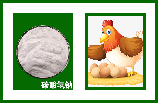 亚洲熟妇丰满大屁股熟妇