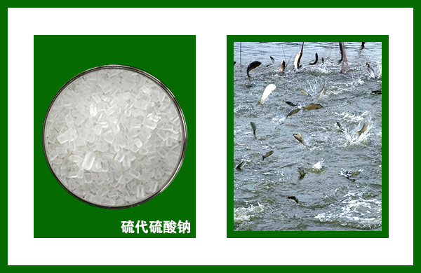 亚洲熟妇丰满大屁股熟妇