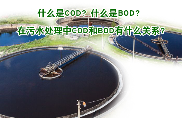 亚洲熟妇丰满大屁股熟妇