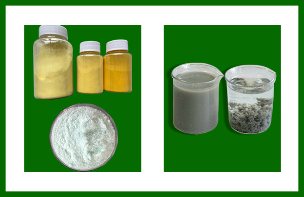 亚洲熟妇丰满大屁股熟妇