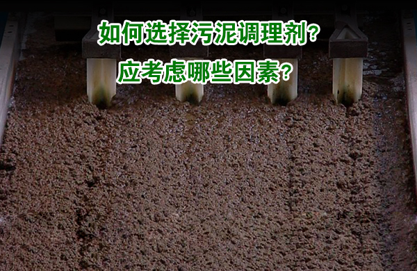 亚洲熟妇丰满大屁股熟妇