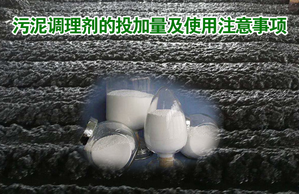 亚洲熟妇丰满大屁股熟妇