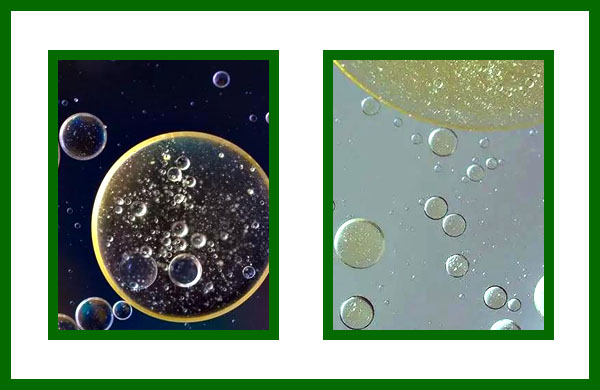 亚洲熟妇丰满大屁股熟妇