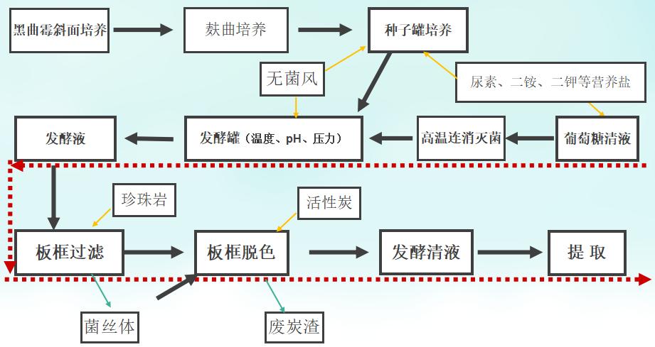 亚洲熟妇丰满大屁股熟妇