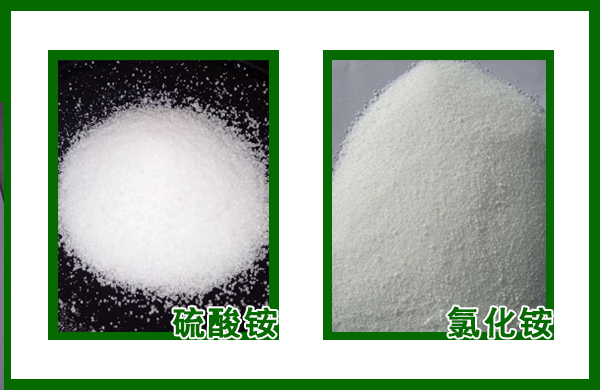 亚洲熟妇丰满大屁股熟妇