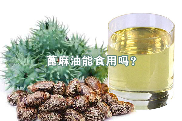 蓖麻油能食用吗?
