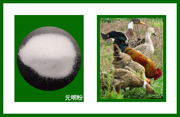 亚洲熟妇丰满大屁股熟妇