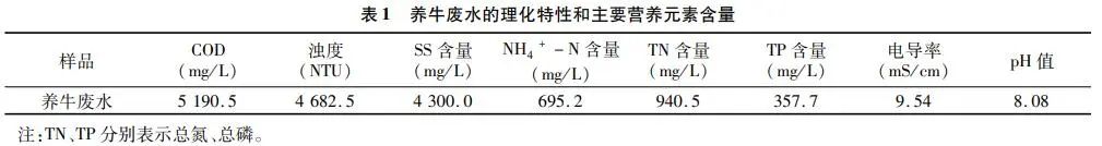 亚洲熟妇丰满大屁股熟妇