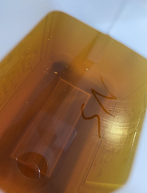 抗静电剂 抗静电剂