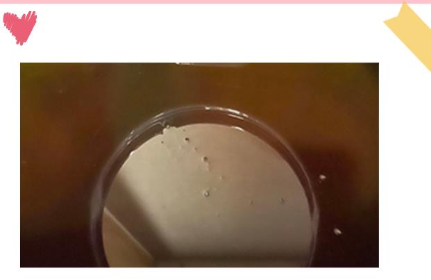 6501净洗剂 6501净洗剂