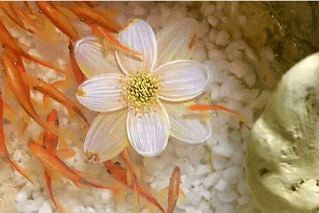 树脂画,渗透剂 树脂画,渗透剂