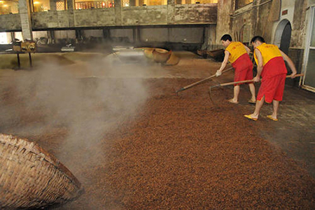 酒曲发酵 酒曲发酵