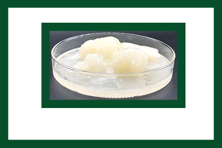 渗透剂OEP-70 渗透剂OEP-70