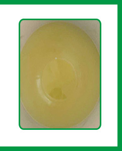 乳化剂EL40的外观及状态 乳化剂EL40的外观及状态